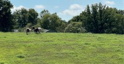 Homes for Sale in Dearborn, MO 64439 | 24110  HIGHWAY Y