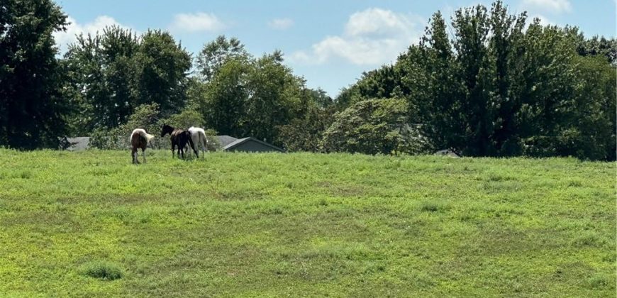 Homes for Sale in Dearborn, MO 64439 | 24110  HIGHWAY Y