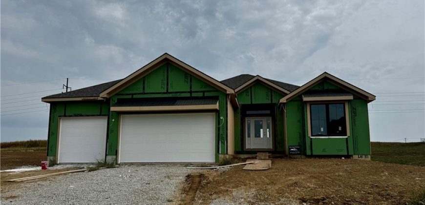 Homes for Sale in Kearney, MO 64060 | 11429  Rye Drive