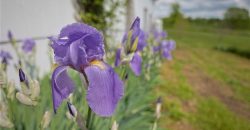 Homes for Sale in Holt, MO 64048 | 15404 NE 181st Street