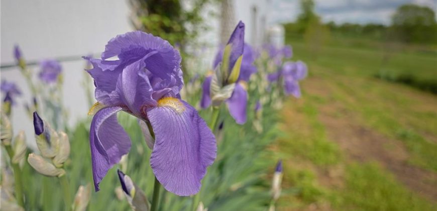 Homes for Sale in Holt, MO 64048 | 15404 NE 181st Street