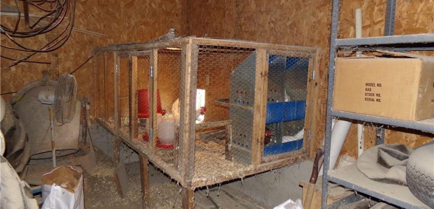 Homes for Sale in Holt, MO 64048 | 15404 NE 181st Street