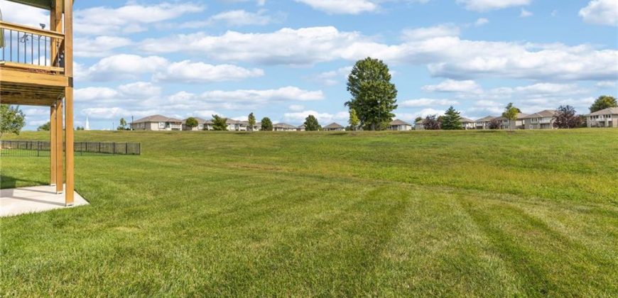 Homes for Sale in Kearney, MO 64060 | 2059  Foxtail Point