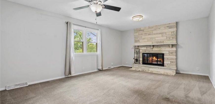 Homes for Sale in Excelsior Springs, MO 64024 | 1101  WILLIAMS Street