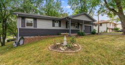 Homes for Sale in Excelsior Springs, MO 64024 | 1101  WILLIAMS Street