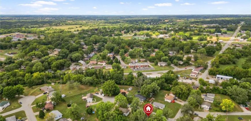 Homes for Sale in Excelsior Springs, MO 64024 | 1101  WILLIAMS Street