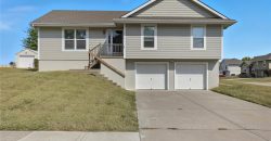 Homes for Sale in Smithville, MO 64089 | 1110  BUTTERCUP Street