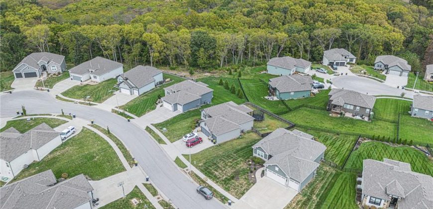 Homes for Sale in Kansas City, MO 64165 | 1216 NE 123rd Street