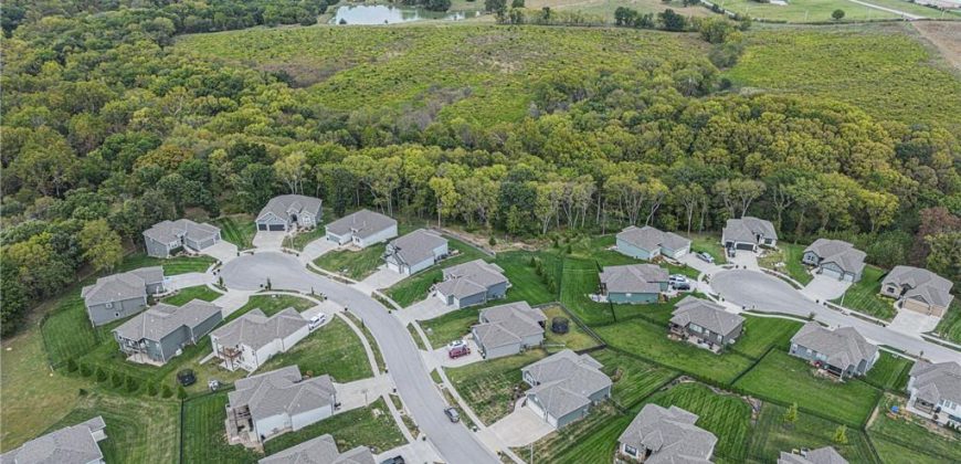 Homes for Sale in Kansas City, MO 64165 | 1216 NE 123rd Street