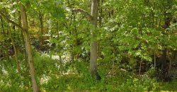 Homes for Sale in Kansas City, MO 64157 | 10900 N Oxford Avenue