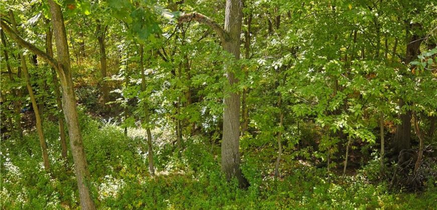 Homes for Sale in Kansas City, MO 64157 | 10900 N Oxford Avenue