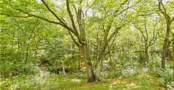 Homes for Sale in Kansas City, MO 64157 | 10900 N Oxford Avenue