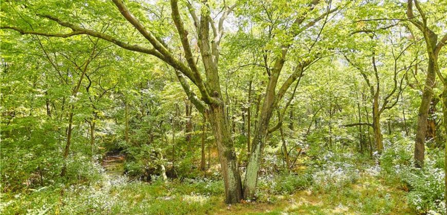 Homes for Sale in Kansas City, MO 64157 | 10900 N Oxford Avenue