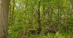 Homes for Sale in Kansas City, MO 64157 | 10900 N Oxford Avenue