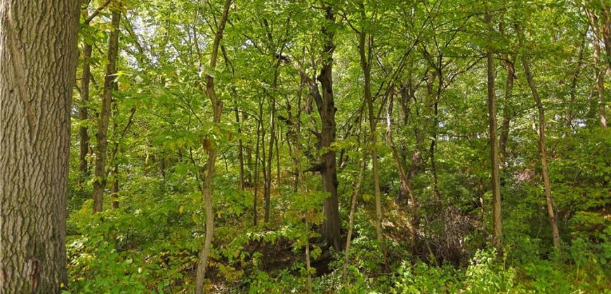 Homes for Sale in Kansas City, MO 64157 | 10900 N Oxford Avenue