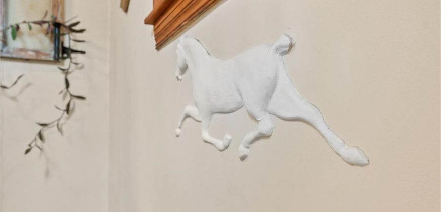 Homes for Sale in Kearney, MO 64060 | 18410 NE 130TH Street