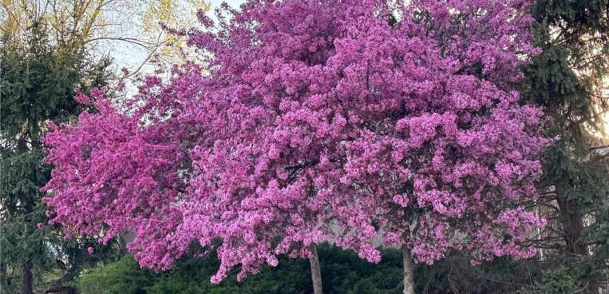 Homes for Sale in Kansas City, MO 64155 | 10610 N Garfield Avenue