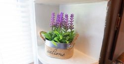 Homes for Sale in Kansas City, MO 64117 | 3905 N Jackson Avenue