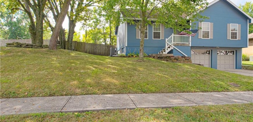 Homes for Sale in Excelsior Springs, MO 64024 | 1017  Rose Avenue