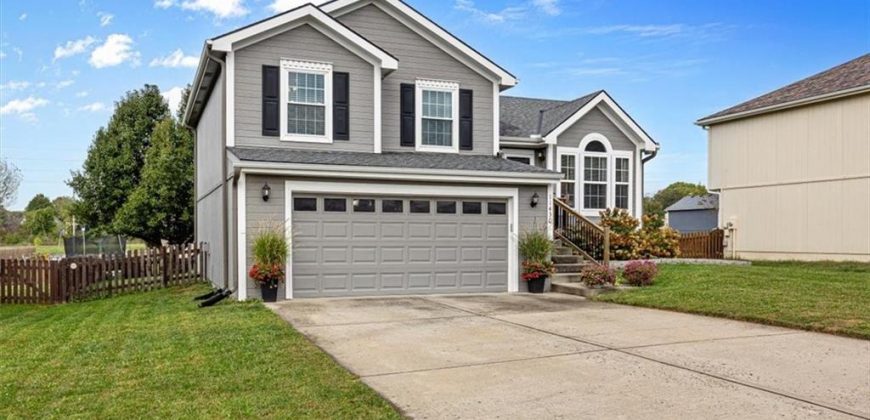 Homes for Sale in Kansas City, MO 64157 | 11430 N Farley Avenue