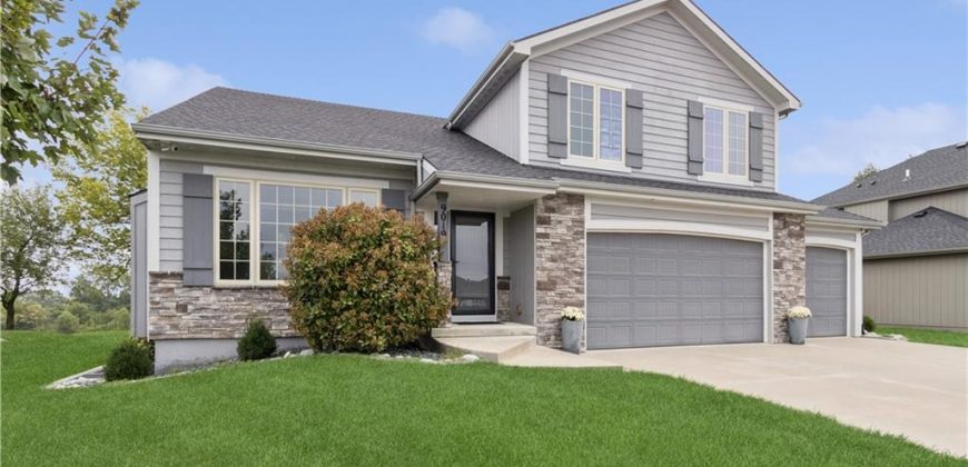 Homes for Sale in Kansas City, MO 64156 | 9019 N Norton Avenue