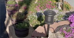 Homes for Sale in Riverside, MO 64150 | 4816 NW High Drive