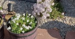 Homes for Sale in Riverside, MO 64150 | 4816 NW High Drive