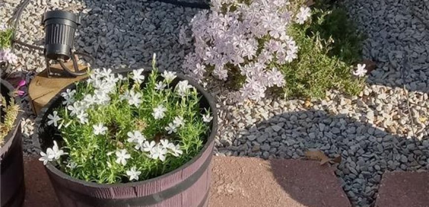 Homes for Sale in Riverside, MO 64150 | 4816 NW High Drive