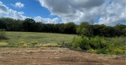 Homes for Sale in Kansas City, MO 64165 | 12151 N Forest Court