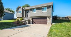 Homes for Sale in Smithville, MO 64089 | 19306  Corbyn Lane