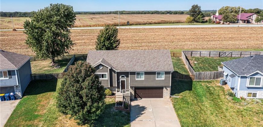 Homes for Sale in Smithville, MO 64089 | 19306  Corbyn Lane