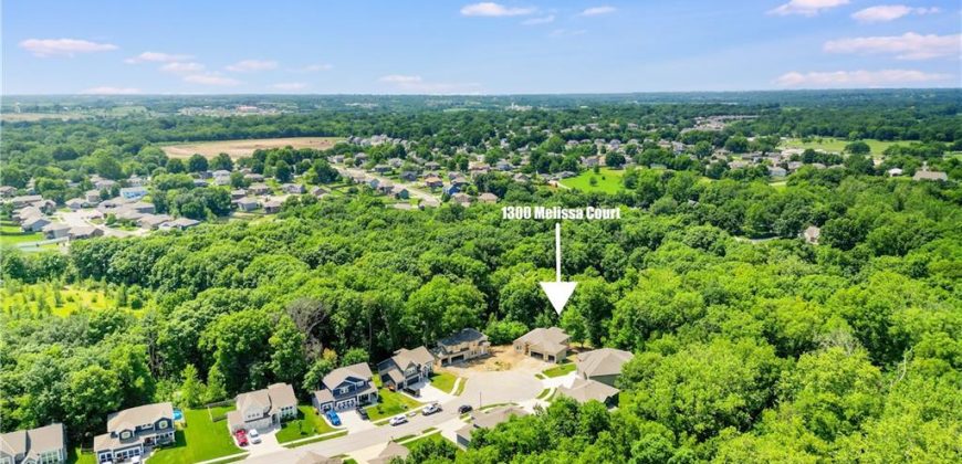 Homes for Sale in Kearney, MO 64060 | 1300  Melissa Court