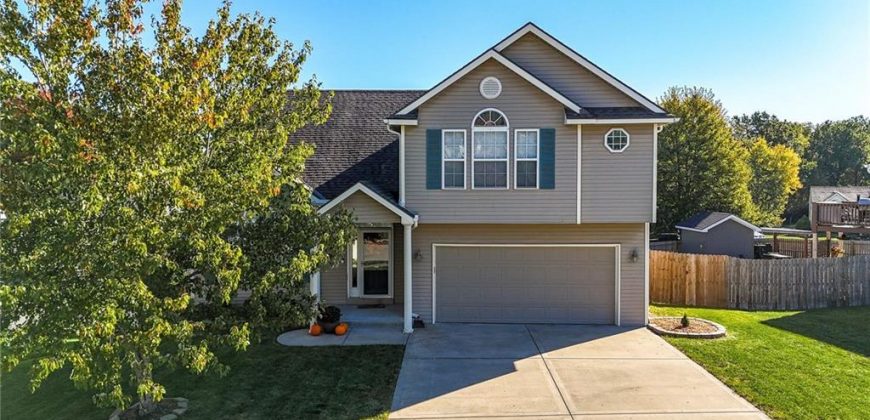 Homes for Sale in Kansas City, MO 64119 | 8015 N Kensington Avenue