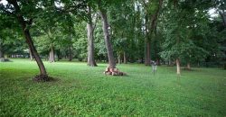 Homes for Sale in Kansas City, MO 64116 | 900 NE 47 Street