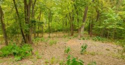 Homes for Sale in Kansas City, MO 64116 | 4319 N Hickory Lane