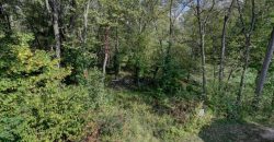 Homes for Sale in Kearney, MO 64060 | 17220  River Drive