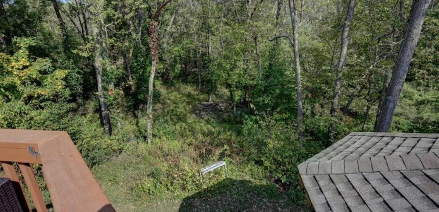 Homes for Sale in Kearney, MO 64060 | 17220  River Drive