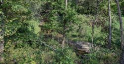 Homes for Sale in Kearney, MO 64060 | 17220  River Drive