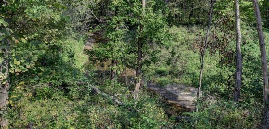 Homes for Sale in Kearney, MO 64060 | 17220  River Drive