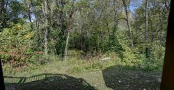 Homes for Sale in Kearney, MO 64060 | 17220  River Drive