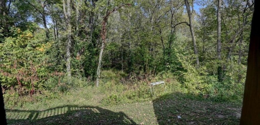 Homes for Sale in Kearney, MO 64060 | 17220  River Drive