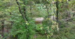 Homes for Sale in Kearney, MO 64060 | 17220  River Drive