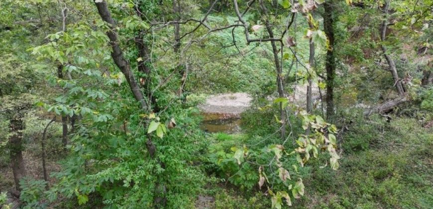 Homes for Sale in Kearney, MO 64060 | 17220  River Drive