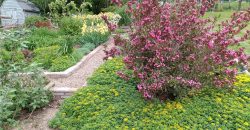 Homes for Sale in Kansas City, MO 64117 | 4115 N Bellefontaine Avenue