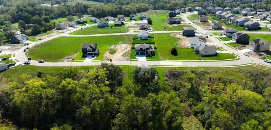 Homes for Sale in Kansas City, MO 64157 | 9406 NE 111th Terrace