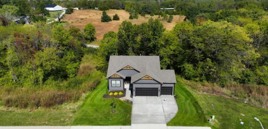 Homes for Sale in Kansas City, MO 64157 | 9406 NE 111th Terrace