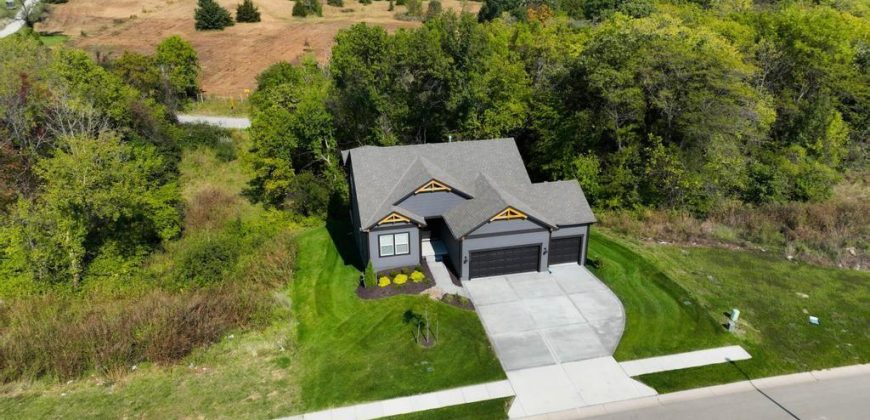 Homes for Sale in Kansas City, MO 64157 | 9406 NE 111th Terrace