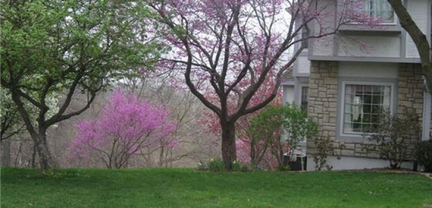 Homes for Sale in Kansas City, MO 64119 | 5321 NE 67th Court