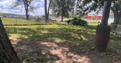 Homes for Sale in Smithville, MO 64089 | 3  Carver Place