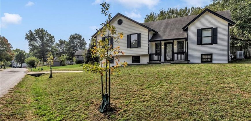 Homes for Sale in Kansas City, MO 64155 | 1413 NE 115th Street